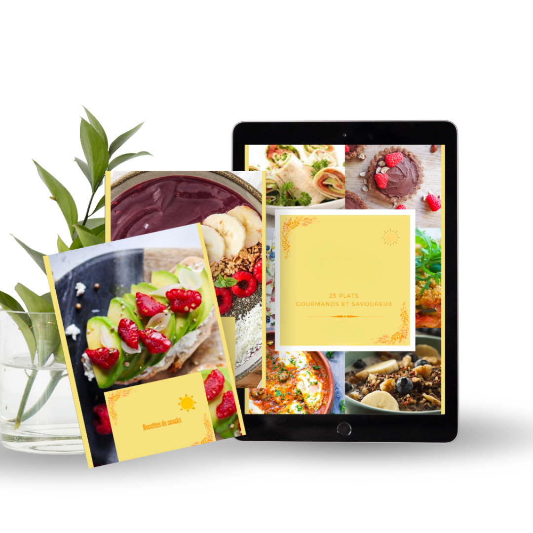 eBook de recettes spécial Airfryer