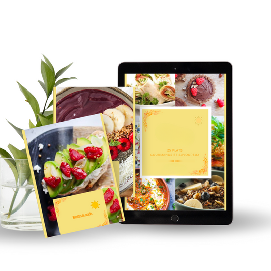 eBook de recettes spécial Airfryer